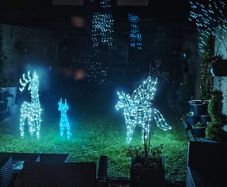 Christmas lights price reduced