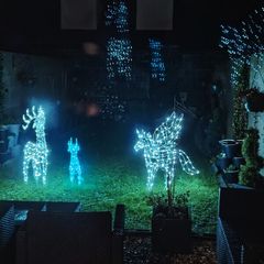 Christmas lights price reduced