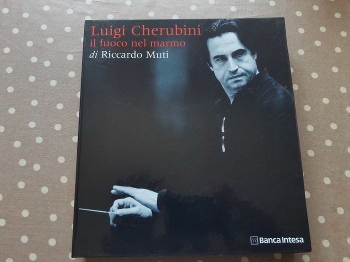 Luigi Cherubini il fuoco nel marmo