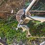 B13 Aero Frame Carbon Roadbike Image 2