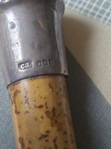 Irish Silver cane - Charles Lamb silver stamp