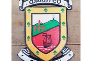 Mayo Crest HS372