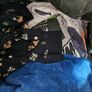 Kids Clothes Image 7
