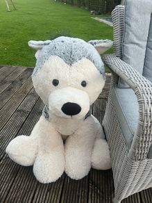 Giant Huskey Teddy