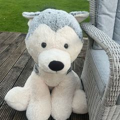 Giant Huskey Teddy