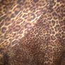womens dress Image 5