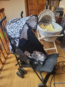 Childs buggy