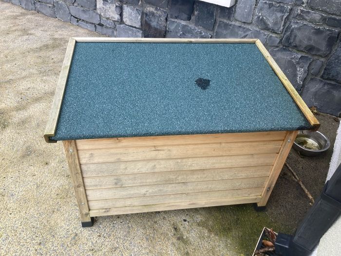 dogs shed
