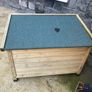 dogs shed Image 4