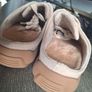 Beige Suede Sneaker Mules / Slip-ons (EUSize 37|UKSize 4 Image 6