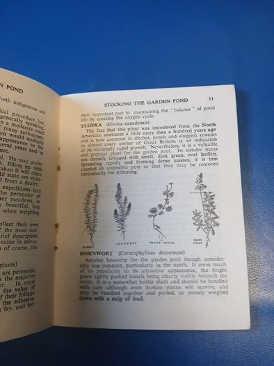 Vintage Garden Pond booklet