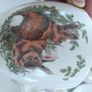 Carrigaline Pottery Woodlands Collection Image 5