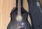 Ibanez Ael2012e-tks
