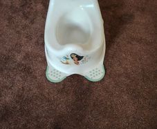 Child's potty