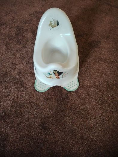 Child's potty