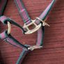 Equi-sential halter Image 3