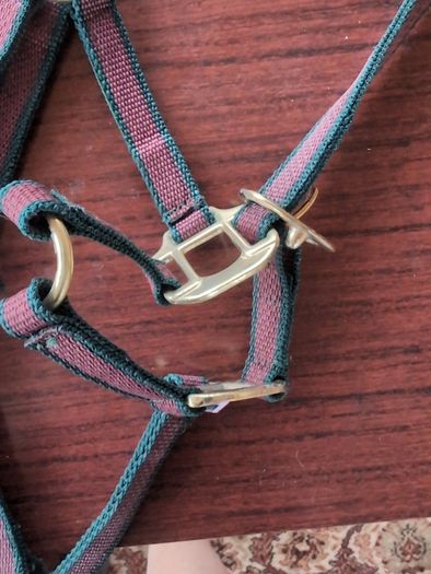 Equi-sential halter
