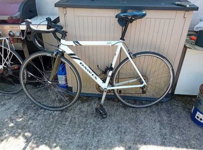 Dawes Giro 300 (54'' frame)
