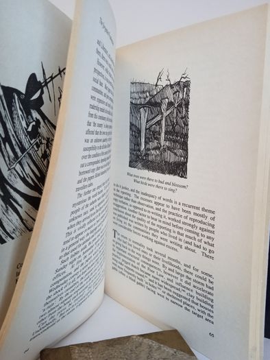 The Night of the Big Wind by Peter Carr (PT275)
