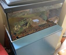 Fish Tank 54L 60x30x30cm