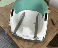 Ingenuity booster seat and try
