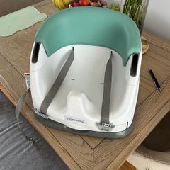 Ingenuity booster seat and try