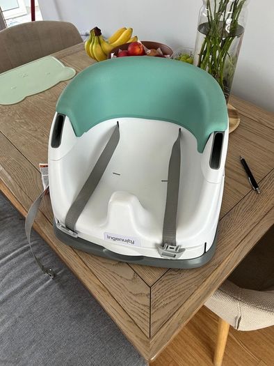 Ingenuity booster seat and try
