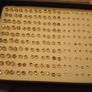 Ear Rings 100 Pairs in Display Box Image 2