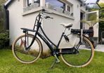 Electric dutch bike