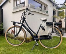 Electric dutch bike