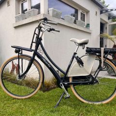 Electric dutch bike