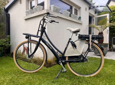 Electric dutch bike