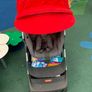 buggy Image 2