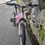 mystic 20 in girls bike Image 2