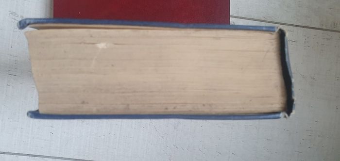 Vintage Book: The House Under the Water by Francis Brett Young 1932