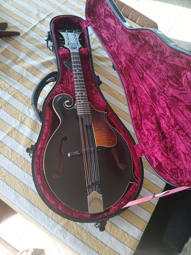Coostar F5 Mandolin