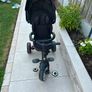 QPlay Trike Image 2
