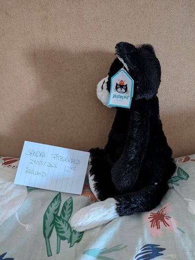 Jellycat Bashful Black & White Kitten BNWT