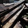 wood Image 4