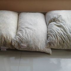 Foam Filling 10euro each.