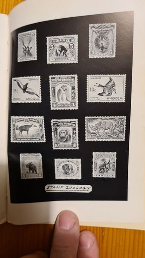 Stamp Collecting. By Charles F. Ingram. Hardback In Good Condition.