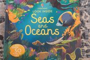 Usborne Look Inside Sea and Oceans