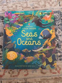 Usborne Look Inside Sea and Oceans