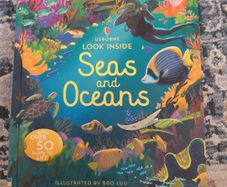 Usborne Look Inside Sea and Oceans