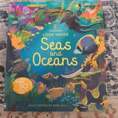 Usborne Look Inside Sea and Oceans