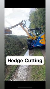 Hedge cutting Service
