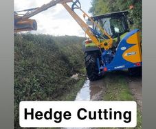 Hedge cutting Service