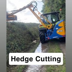 Hedge cutting Service