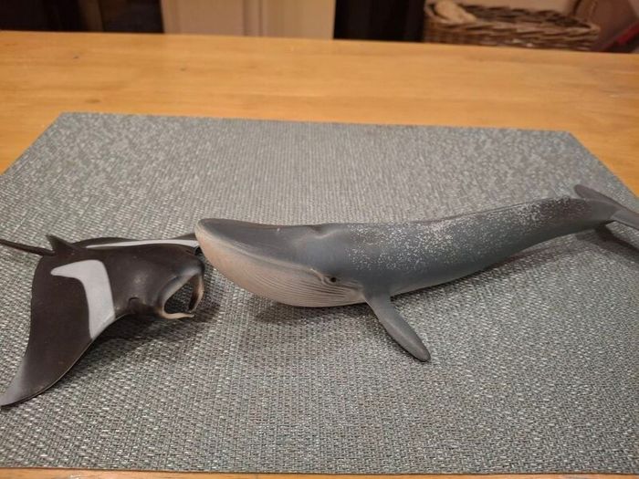 schleich Wild Life 14806 Blue Whale