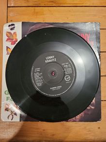 Lenny Kravitz I Build This Garden For Us 7 inch single